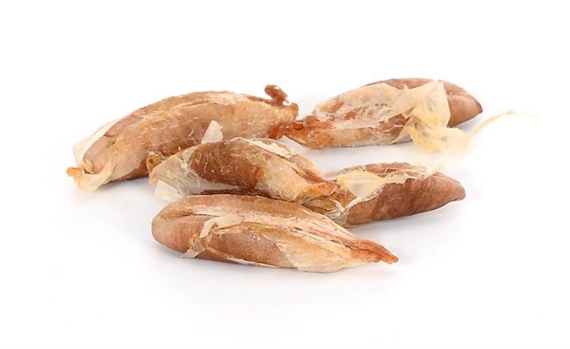 Hurma Çekirdeği 1 kg