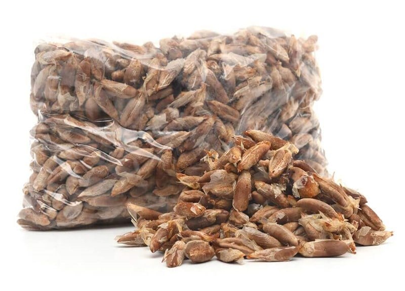 Hurma Çekirdeği 1 kg