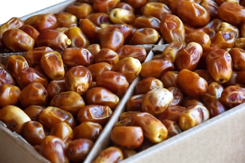 Toptan Bağdat Hurma 5 kg