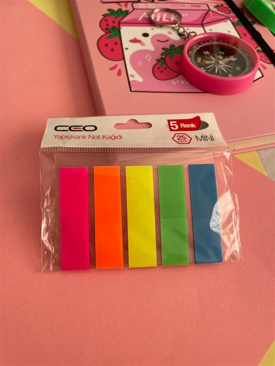 5 Renk Mini Yapışkanlı Not kağıdı