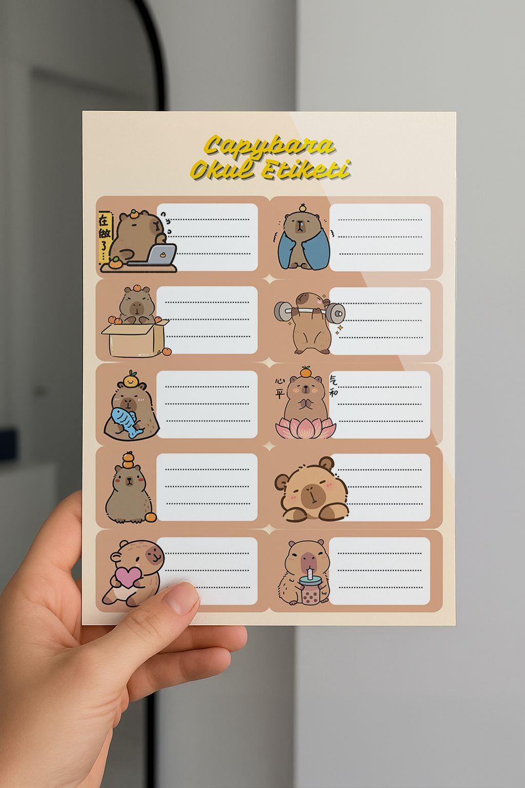 Capybara 2 Okul Etiketi 3 lü Paket