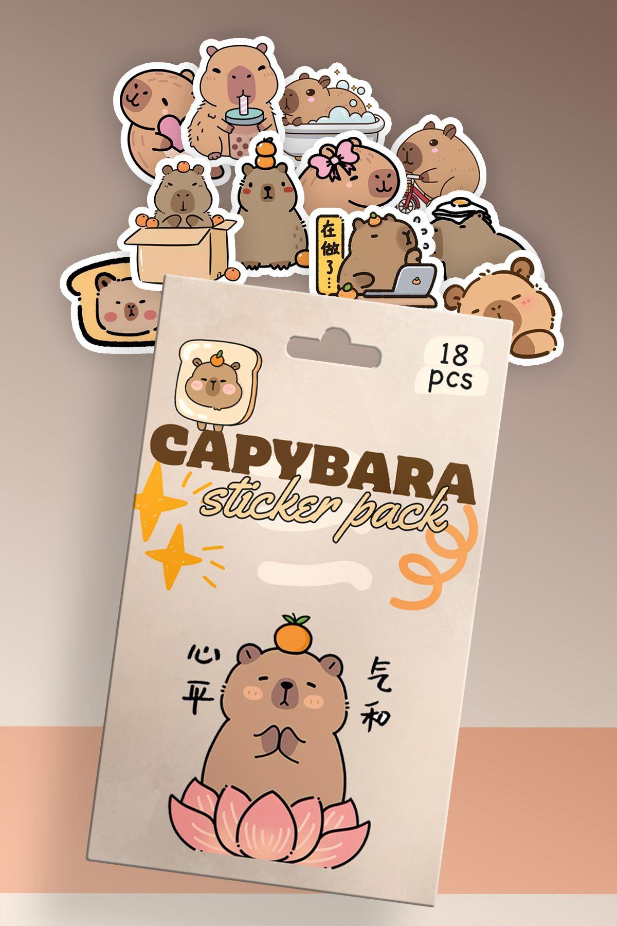 Capybara Kutulu Sticker Set 18'li