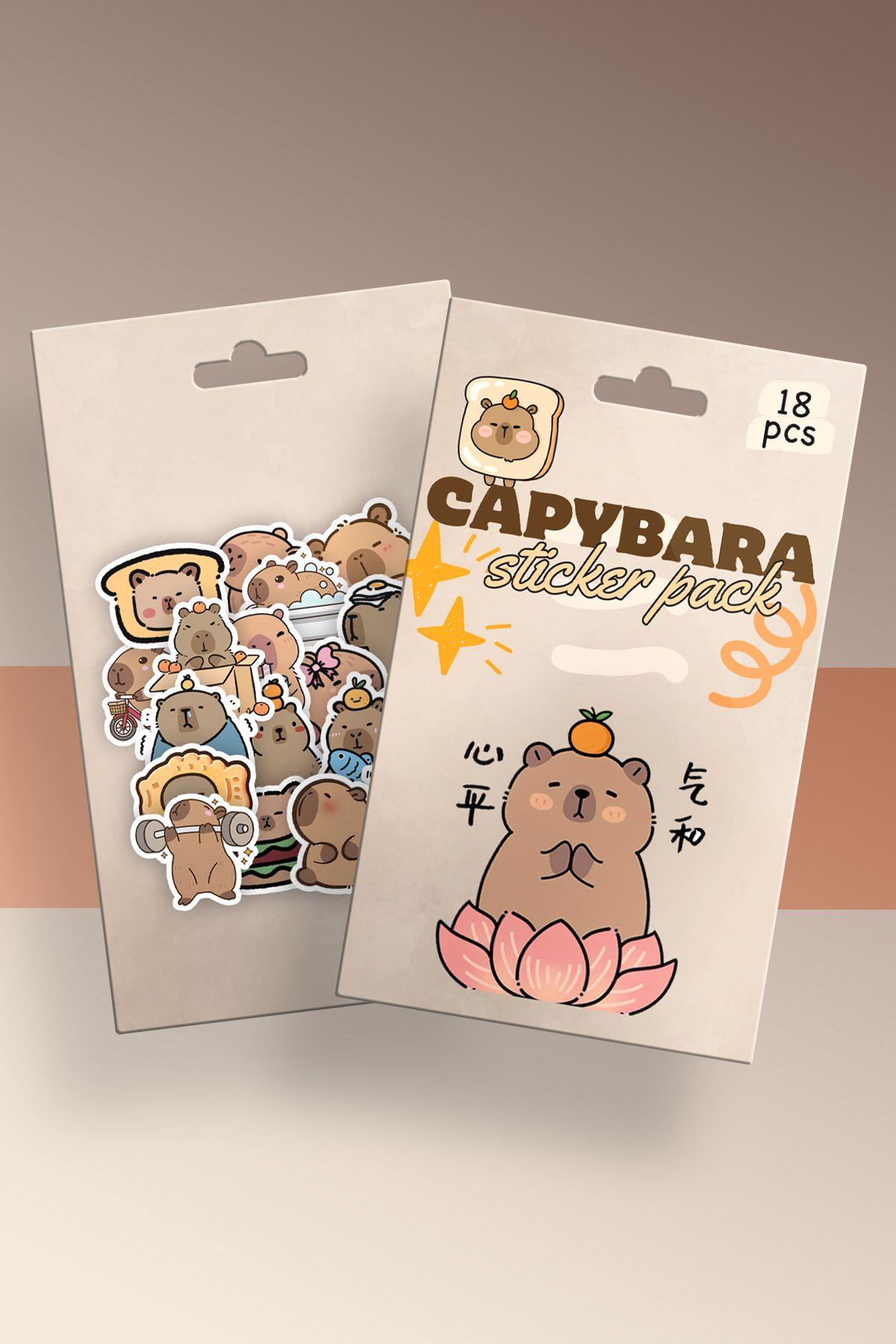 Capybara Kutulu Sticker Set 18'li