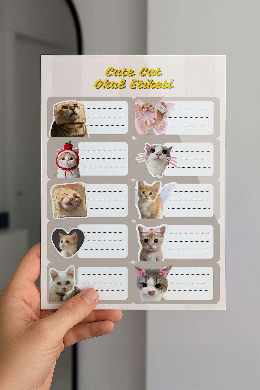 Cute Cat Okul Etiketi 3 lü Paket