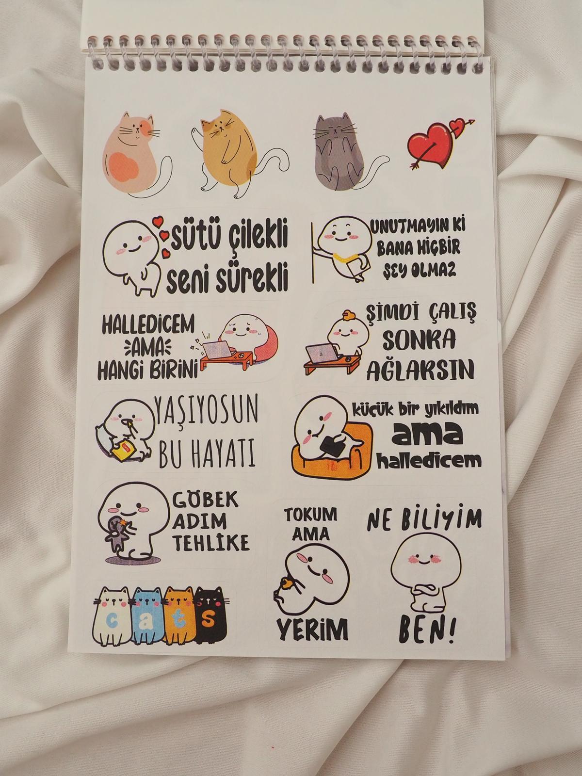 Girl Power Sticker Book