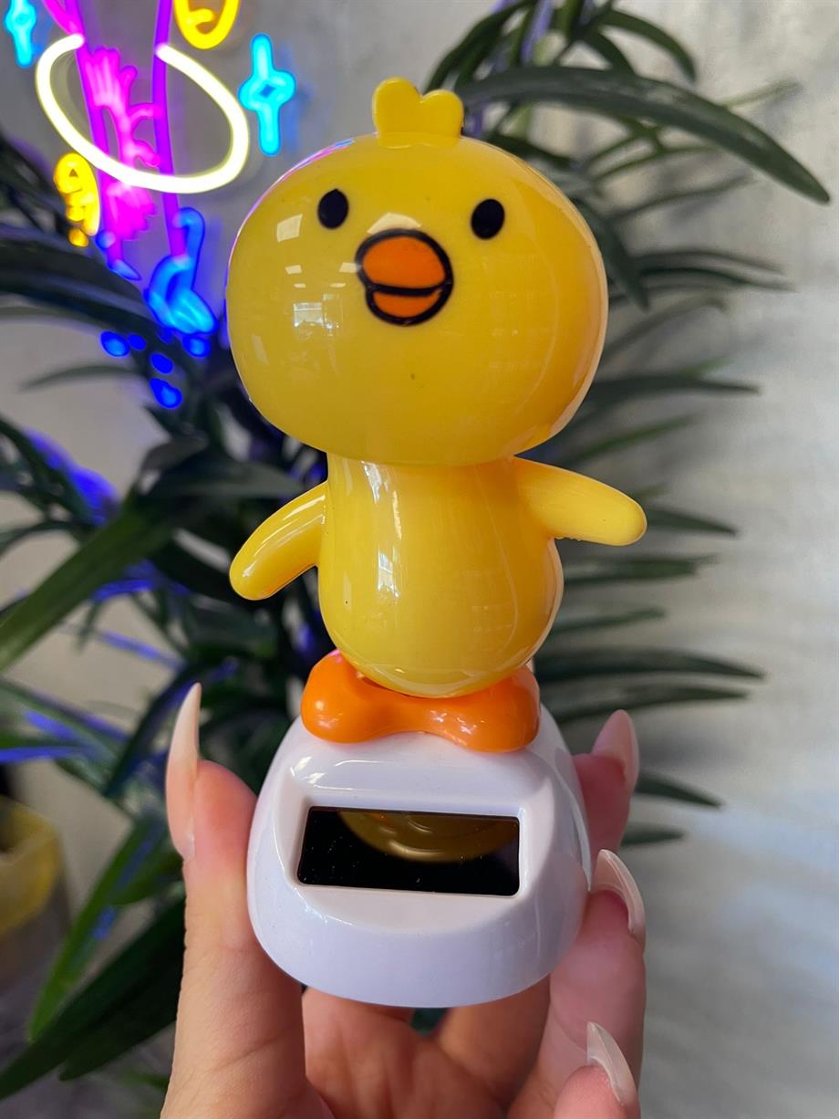 Güneş Enerjisi ile Dans Eden Civciv