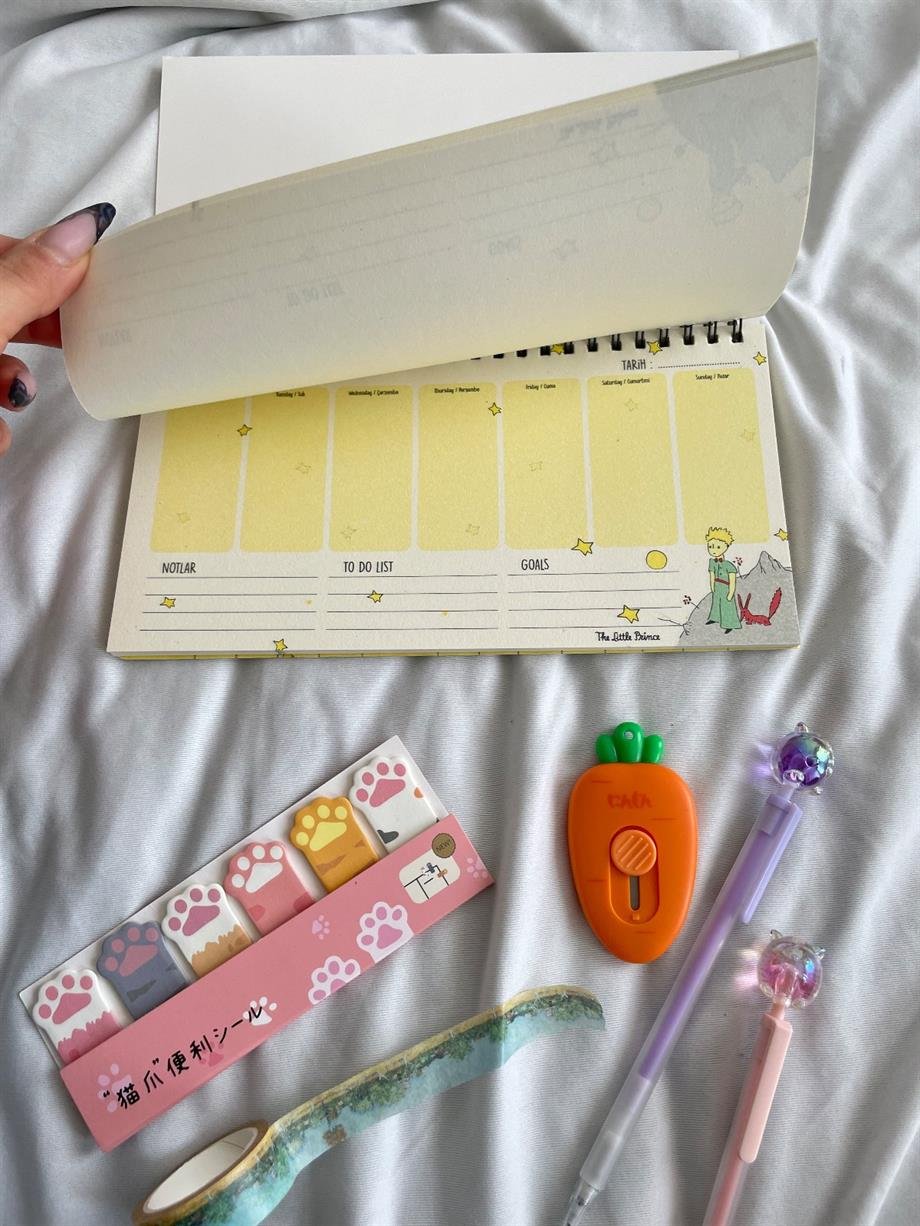 Küçük Prens Beyaz Spiralli Planlayıcı Defter