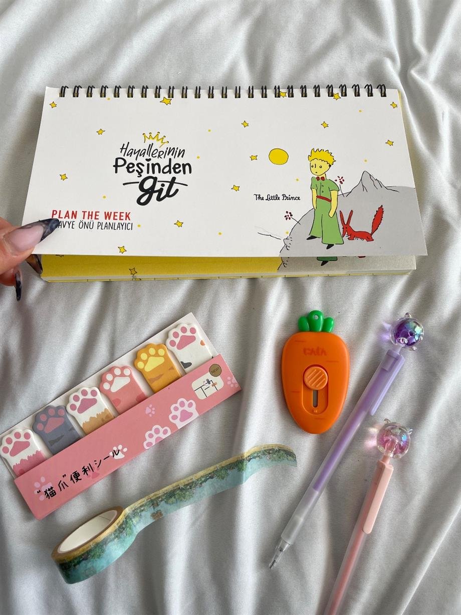 Küçük Prens Beyaz Spiralli Planlayıcı Defter