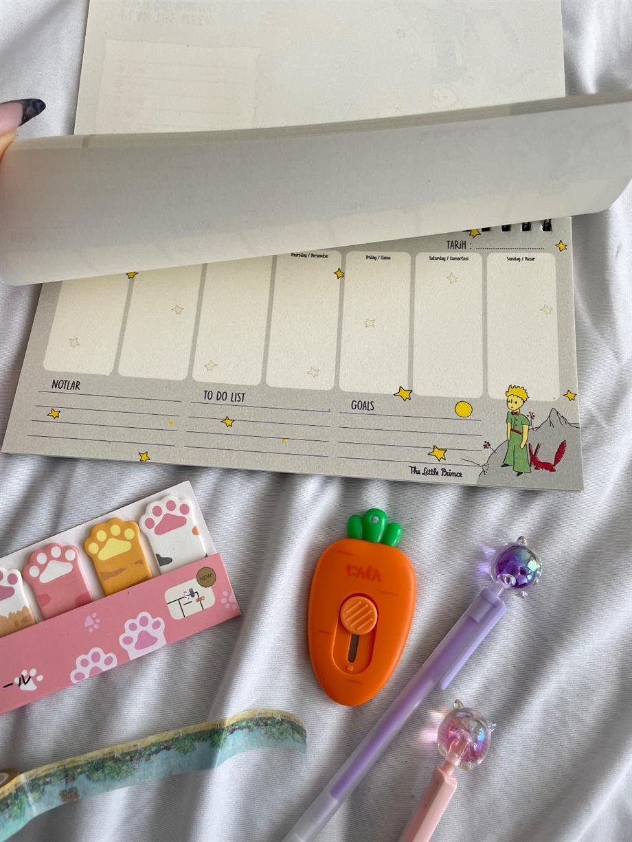 Küçük Prens Siyah Spiralli Planlayıcı Defter