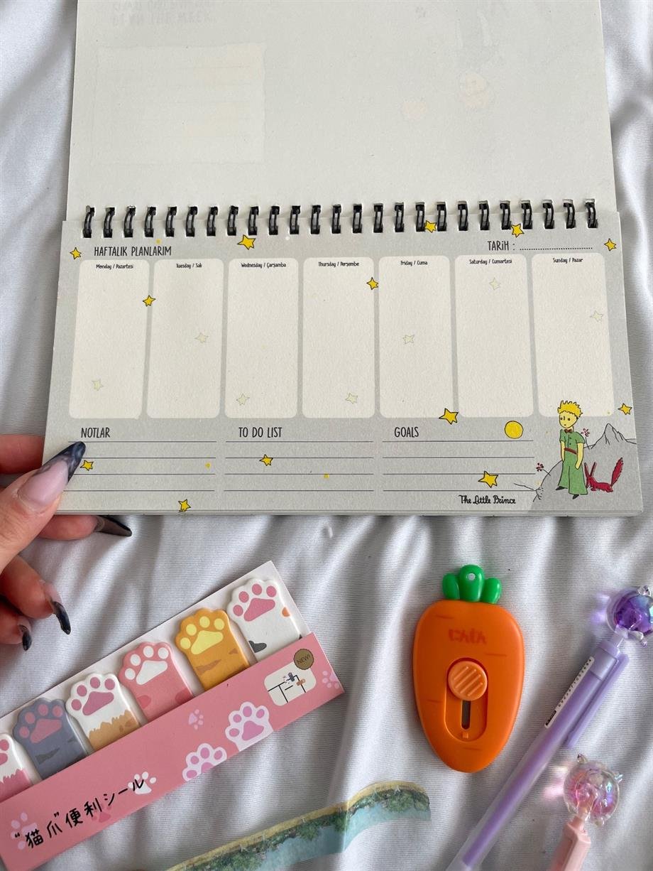 Küçük Prens Siyah Spiralli Planlayıcı Defter
