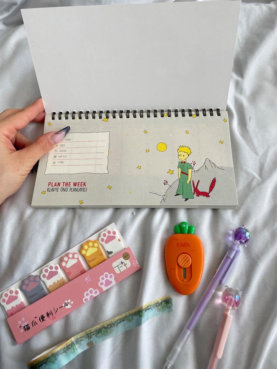 Küçük Prens Siyah Spiralli Planlayıcı Defter