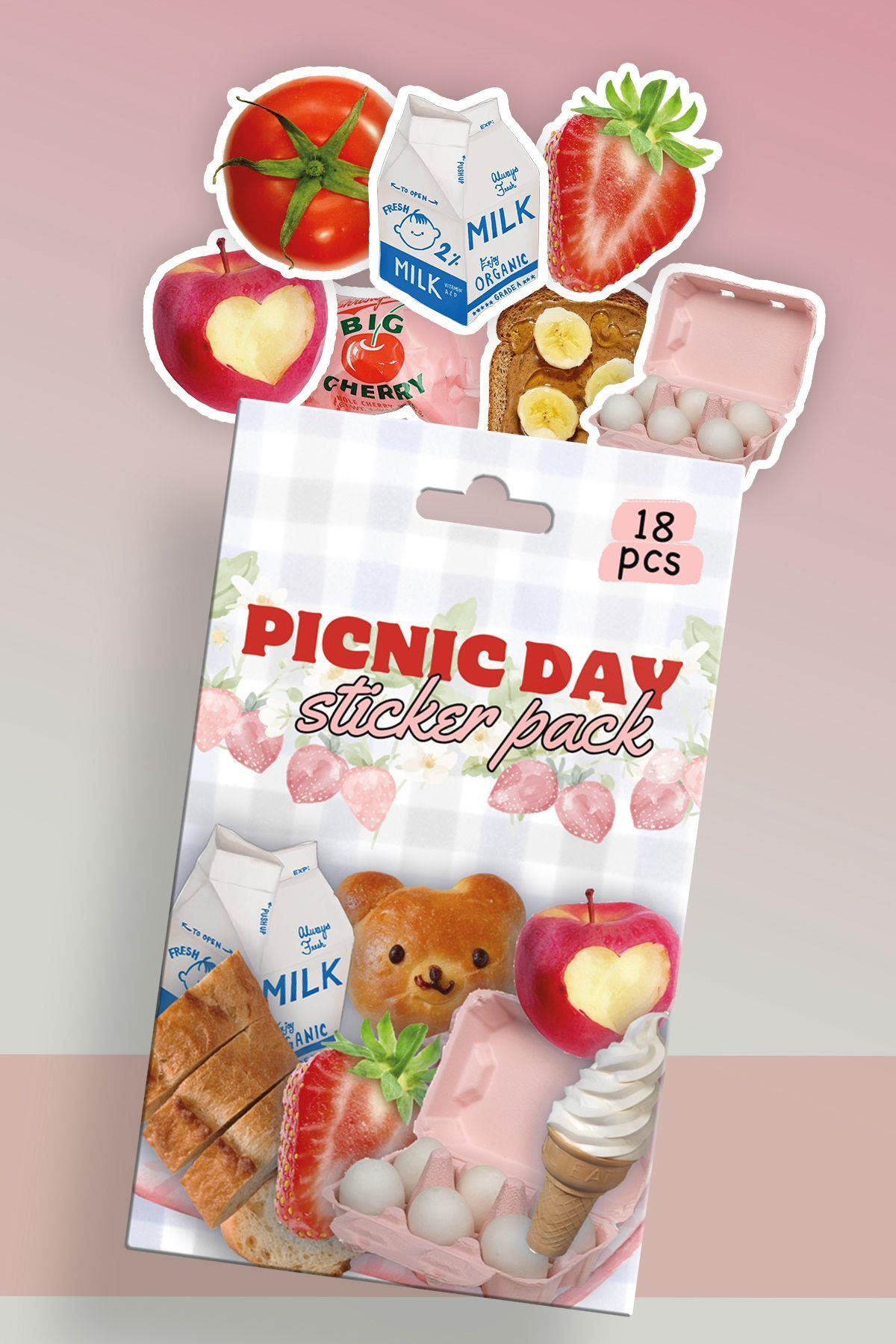 Picnic Day Kutulu Sticker Set 18'li