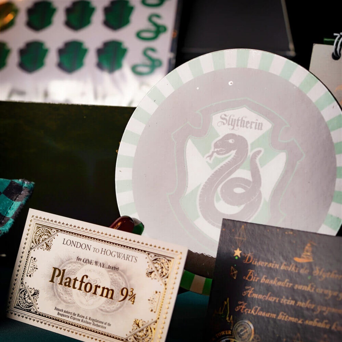 Slytherin Binası Kutu Seti