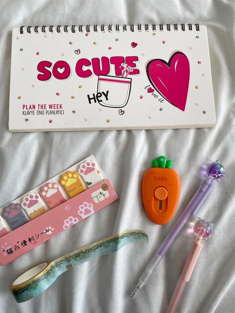 So Cute Spiralli Planlayıcı Defter