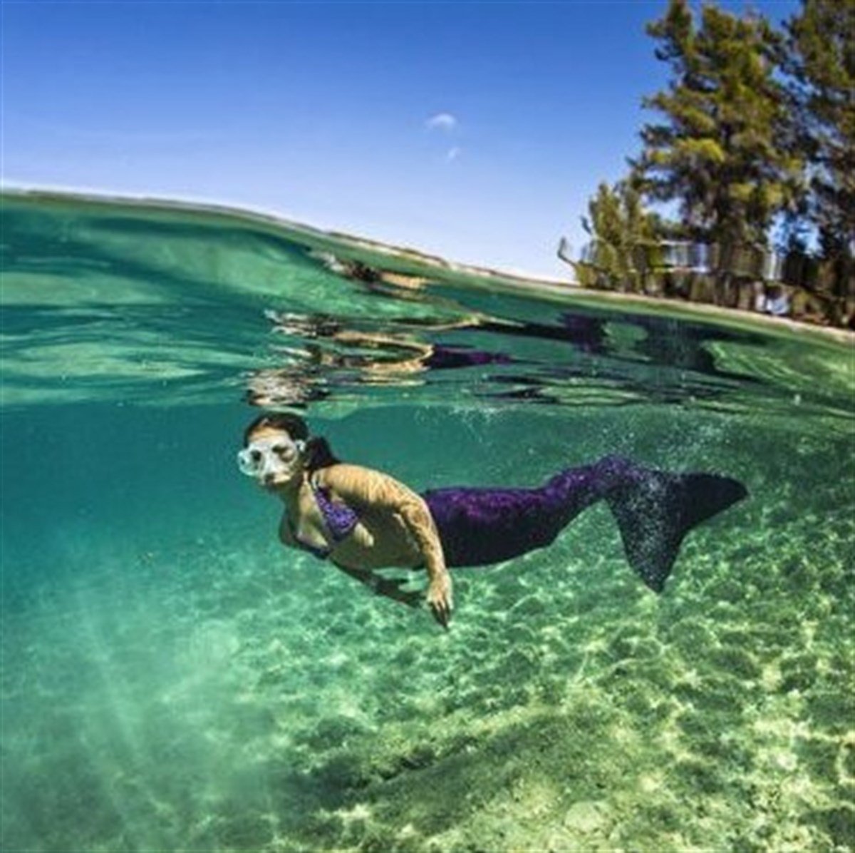 Su Geçirmez Telefon Kılıfı Renkleri