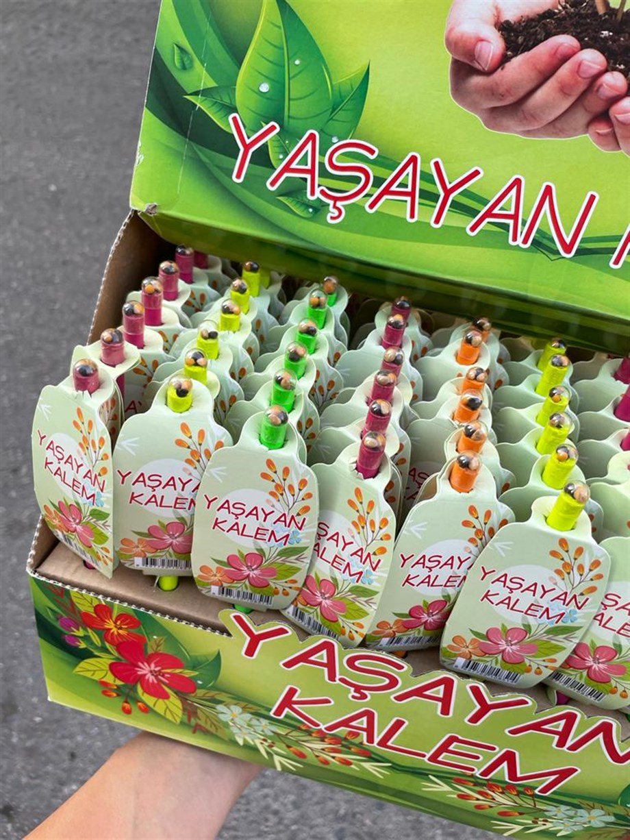 Yaşayan Tohumlu Kurşun Kalem