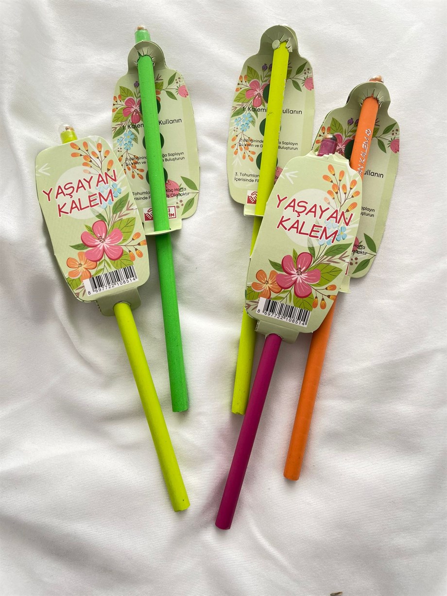 Yaşayan Tohumlu Kurşun Kalem