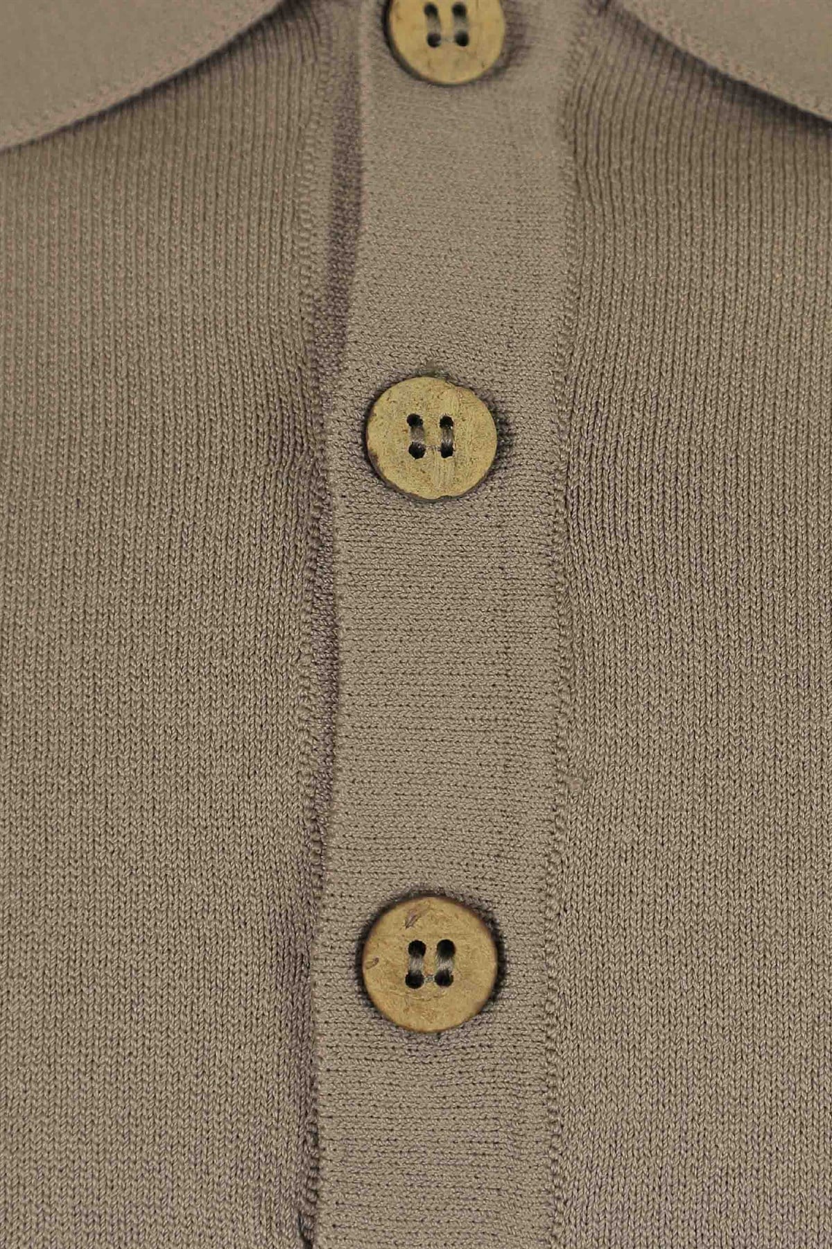 Basic Vizon Polo Triko Tişört