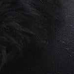 Capone Furry Closed Toe Women Black Slippers
