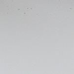 Capone Mid Heel Mesh Bow Women  Sandals