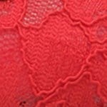 Capone Pennie Lace Mesh Embroidered Women Red Ballet Flat