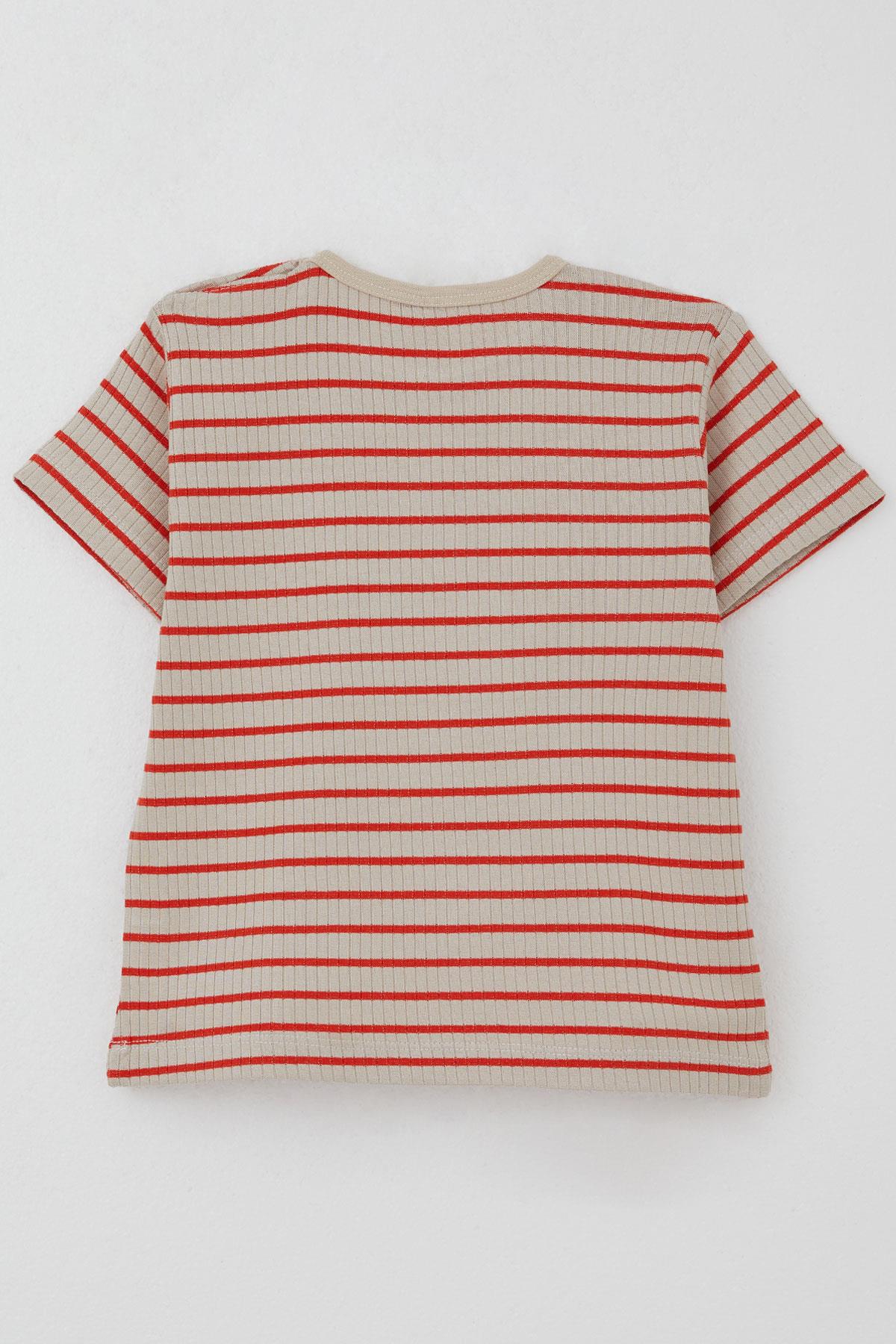 Breeze Erkek Çocuk Tişört Patlı Çizgili Bej (1-4 Yaş)