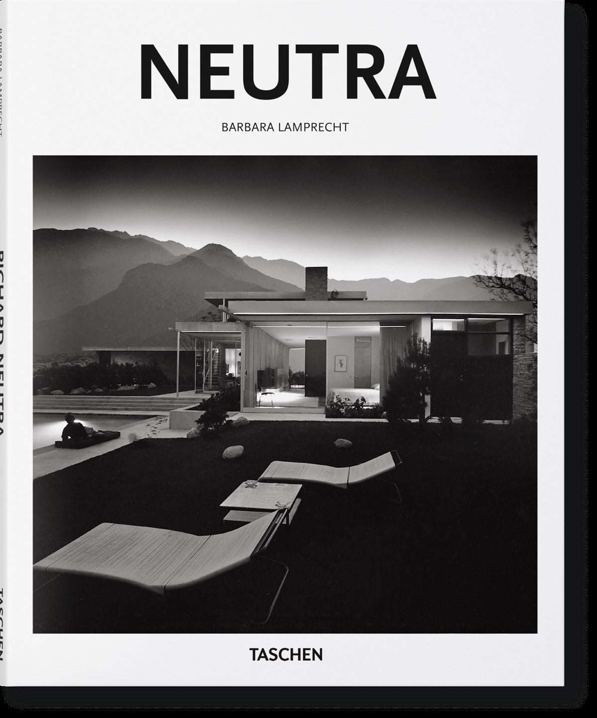Basic Art Series. Neutra