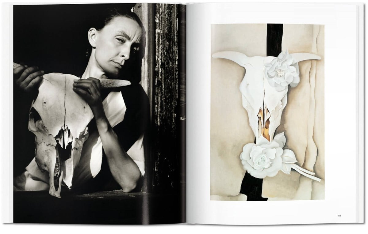 Basic Art Series. O'Keeffe