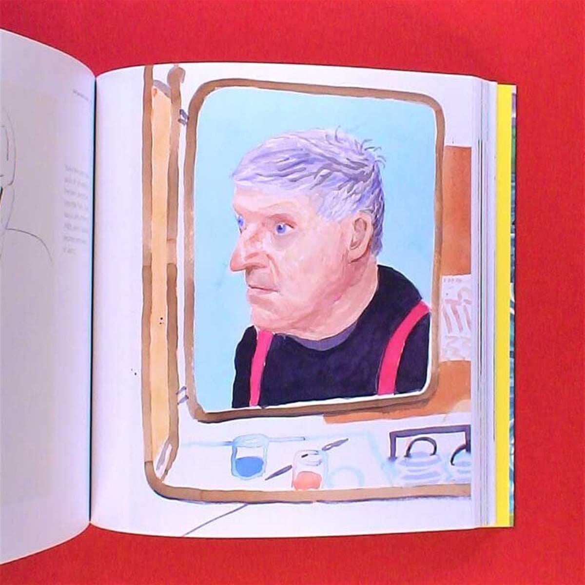 Hockney's Pictures