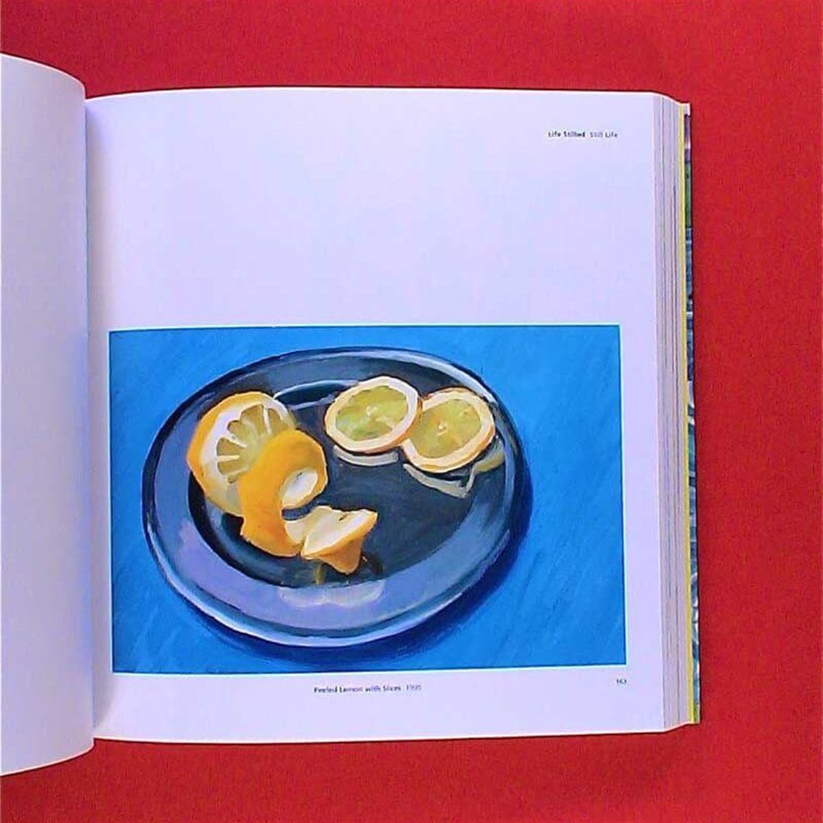 Hockney's Pictures