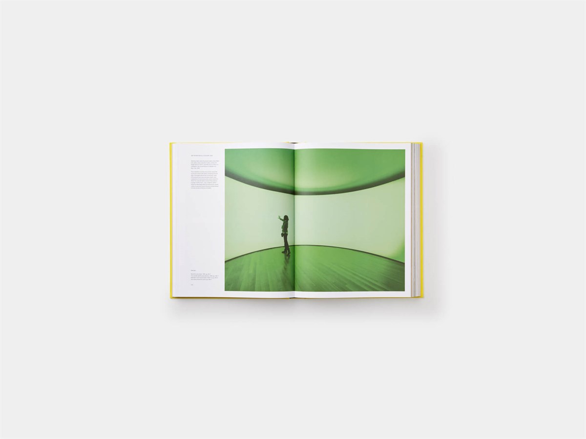 Olafur Eliasson - Experience