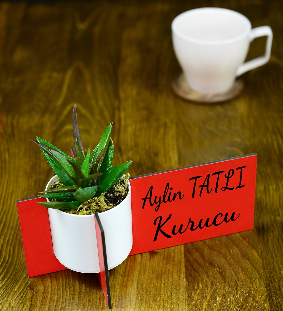 Kişiye Özel Ahşap İsimlik Sukulent Howartia Çiçeği Fiyatı
