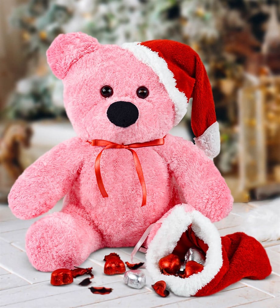 Yılbaşı Özel 55 cm Noel Baba Ayıcığı Fiyatı