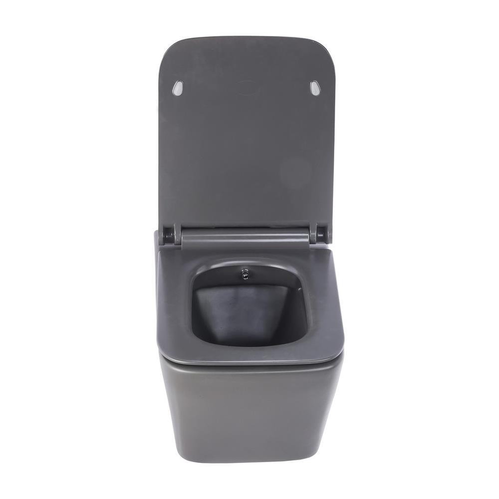 Pure ConceptPure Concept Mat Gri Kanalsız Asma Klozet (Outlet)