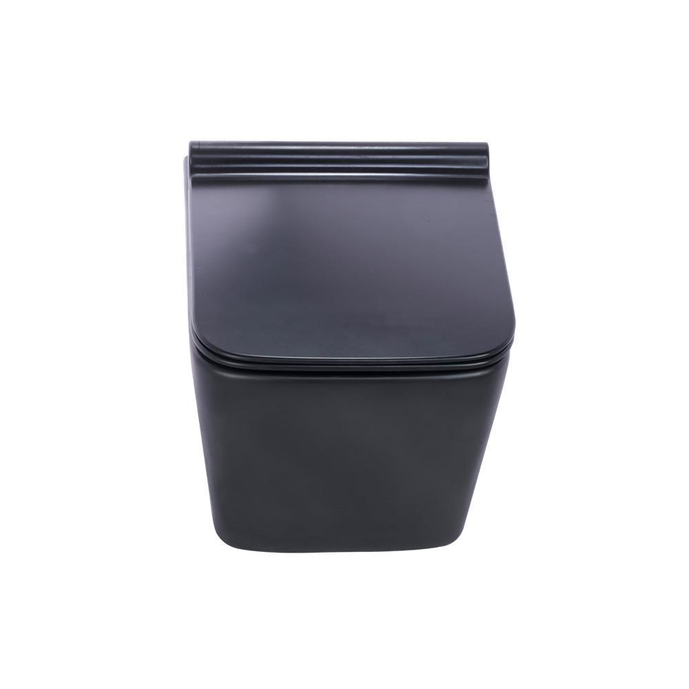 Pure ConceptPure Concept Mat Siyah Kanalsız Asma Klozet ( Outlet )