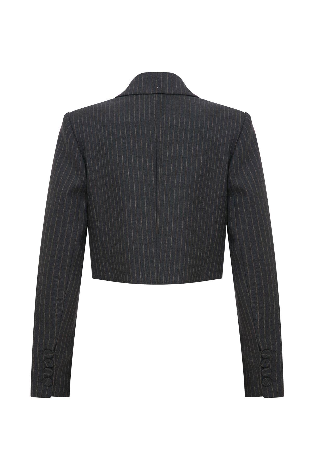 Ivv Gri Çizgili Crop Ceket