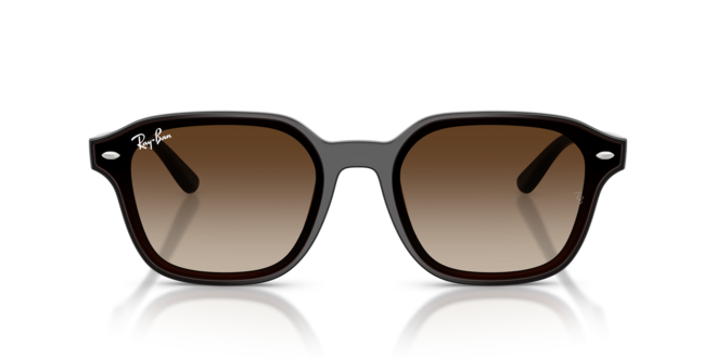 RAY-BAN RB4458D 714/13 65-18-145 Unisex Güneş Gözlüğü