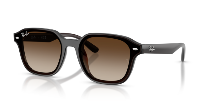 RAY-BAN RB4458D 714/13 65-18-145 Unisex Güneş Gözlüğü