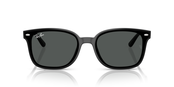 RAY-BAN RB4461D 601/87 64-17-145 Erkek Güneş Gözlüğü
