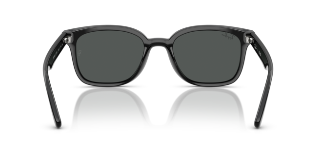 RAY-BAN RB4461D 601/87 64-17-145 Erkek Güneş Gözlüğü