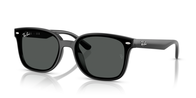 RAY-BAN RB4461D 601/87 64-17-145 Erkek Güneş Gözlüğü