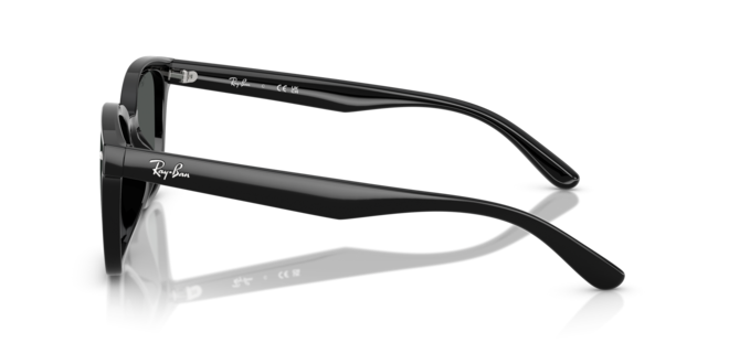 RAY-BAN RB4461D 601/87 64-17-145 Erkek Güneş Gözlüğü