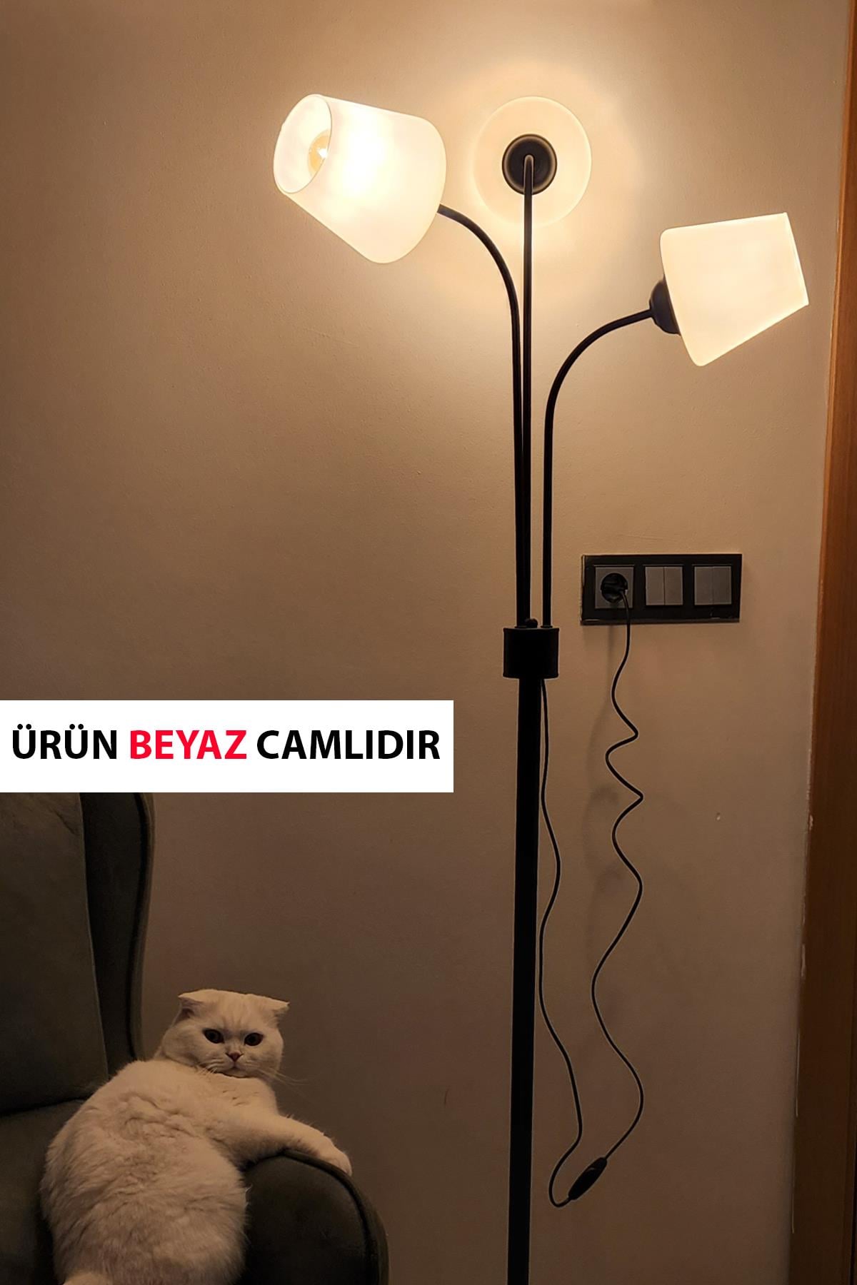 Zambak 3 Lü Siyah Tasarım Metal Ayaklı Lambader Ermando Cam Oturma Odası-Salon Lambader
