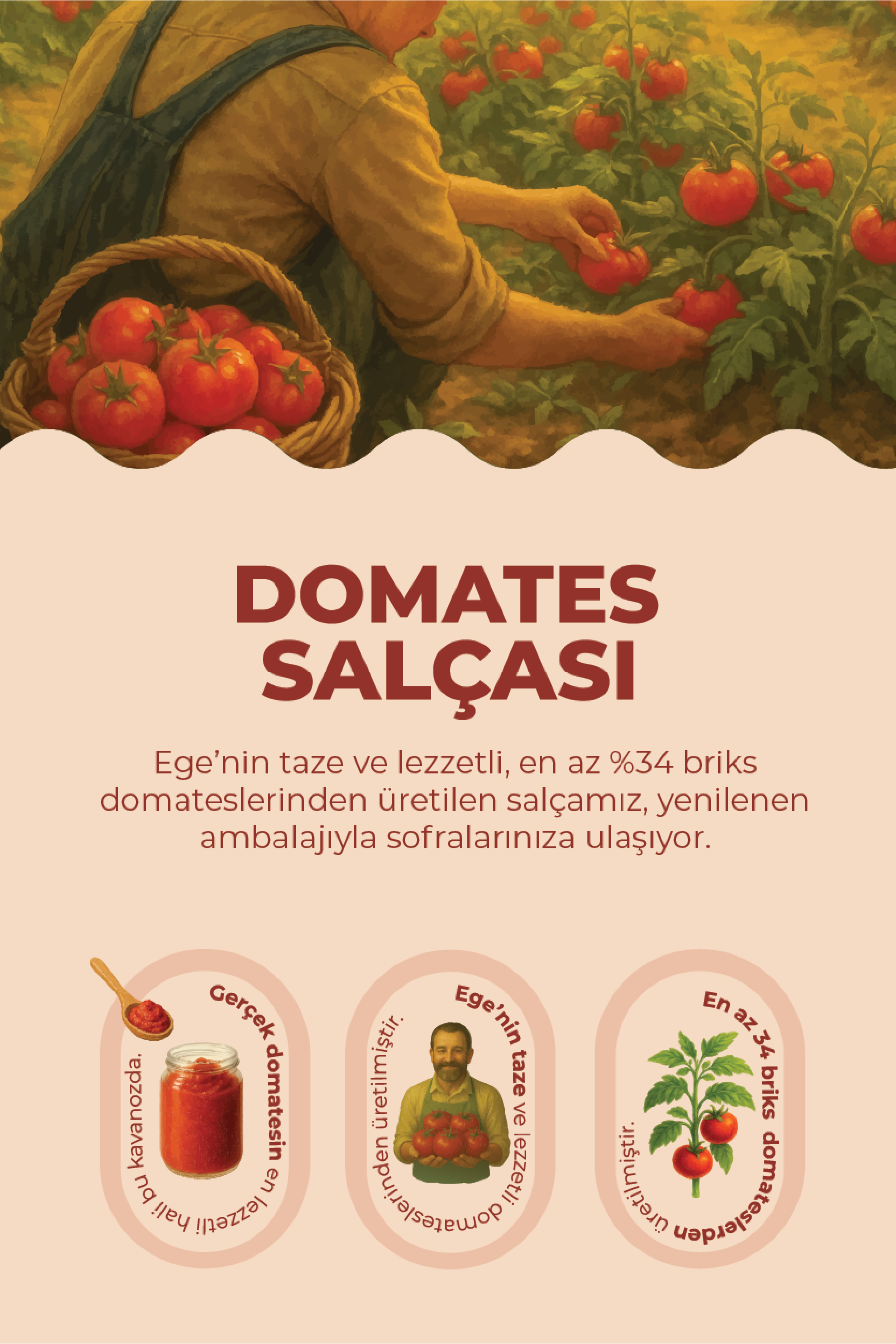  3'lü Domates Salçası Paketi