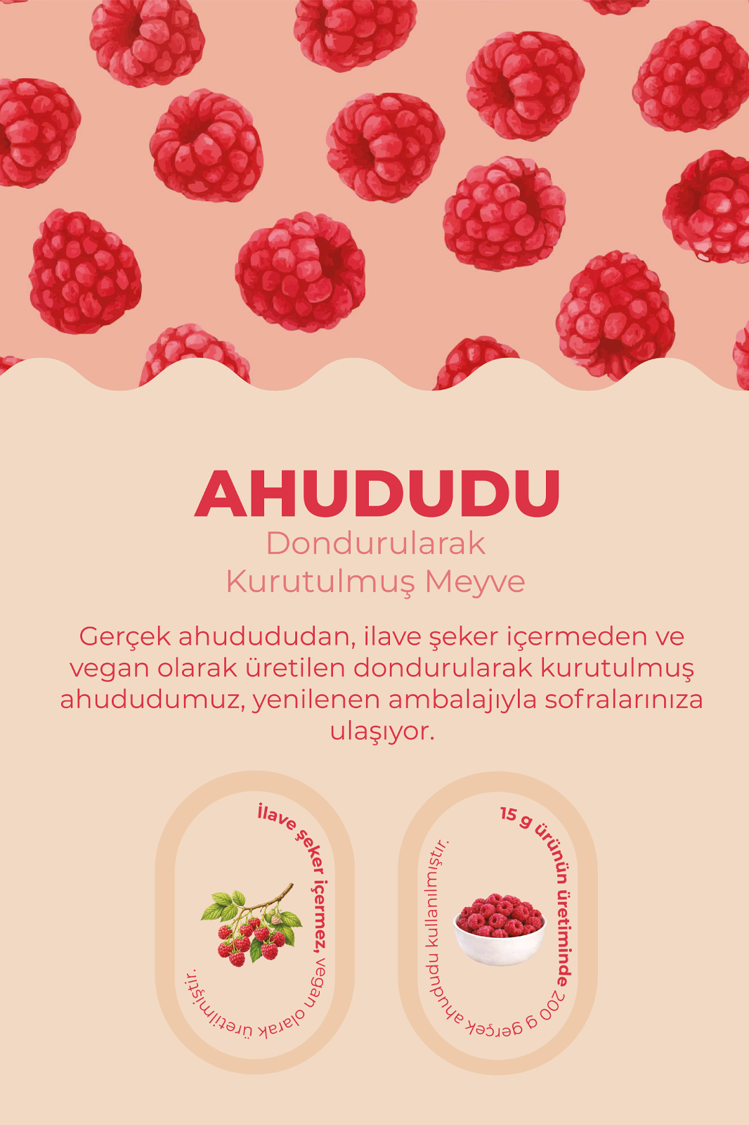   Ahududu Kuru Meyve Cipsi - Dondurularak Kurutulmuş Freeze Dried Çıtır Ahududu