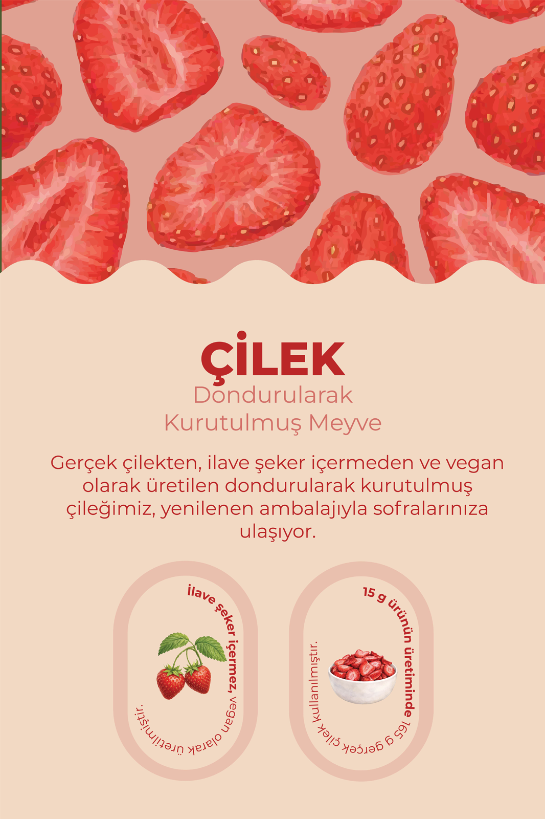  Çilek Kuru Meyve Cipsi - Dondurularak Kurutulmuş Freeze Dried Çıtır Çilek 