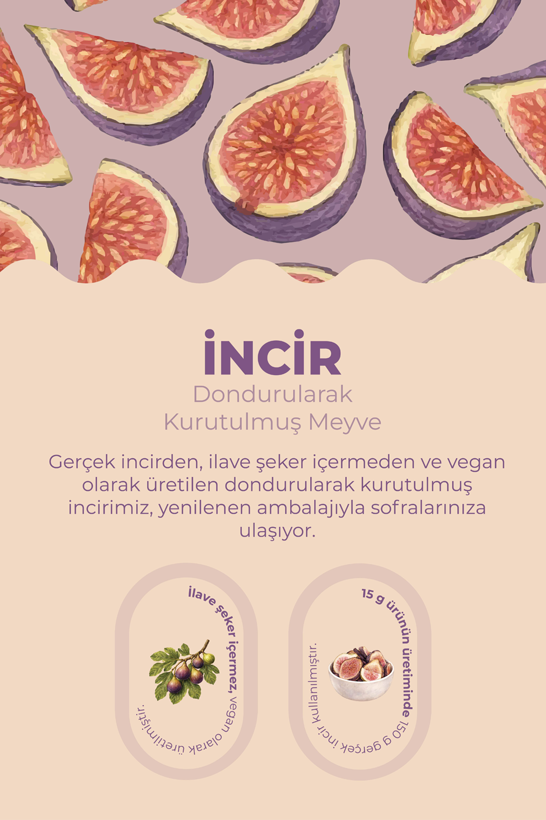  İncir Kuru Meyve Cipsi - Dondurularak Kurutulmuş Freeze Dried Çıtır İncir