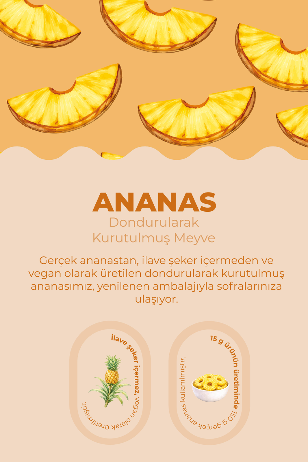 Ananas-Freeze Dried-Çıtır Meyve Kurusu