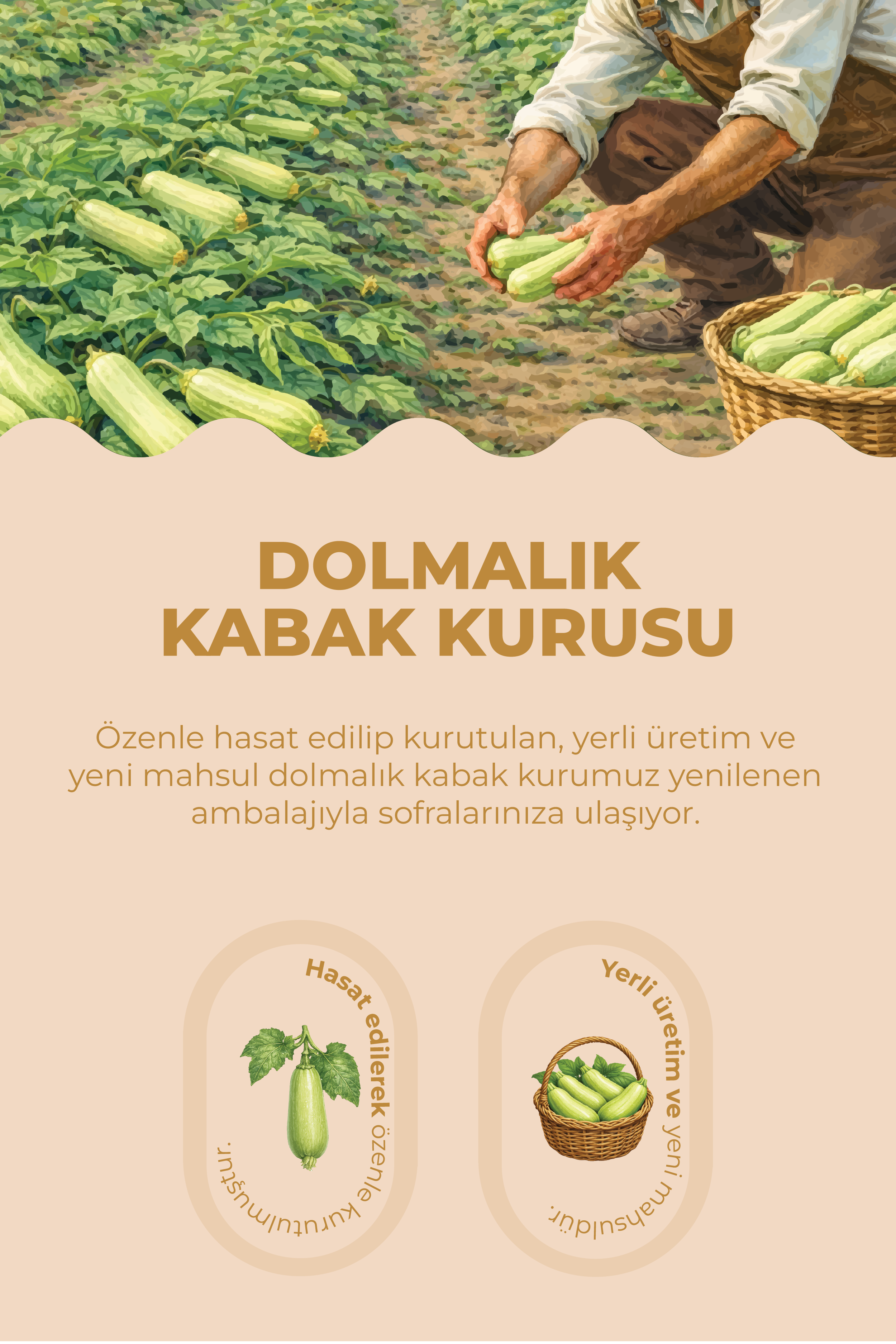 Dolmalık Kabak Kurusu 1 Bağ (23-25 adet)