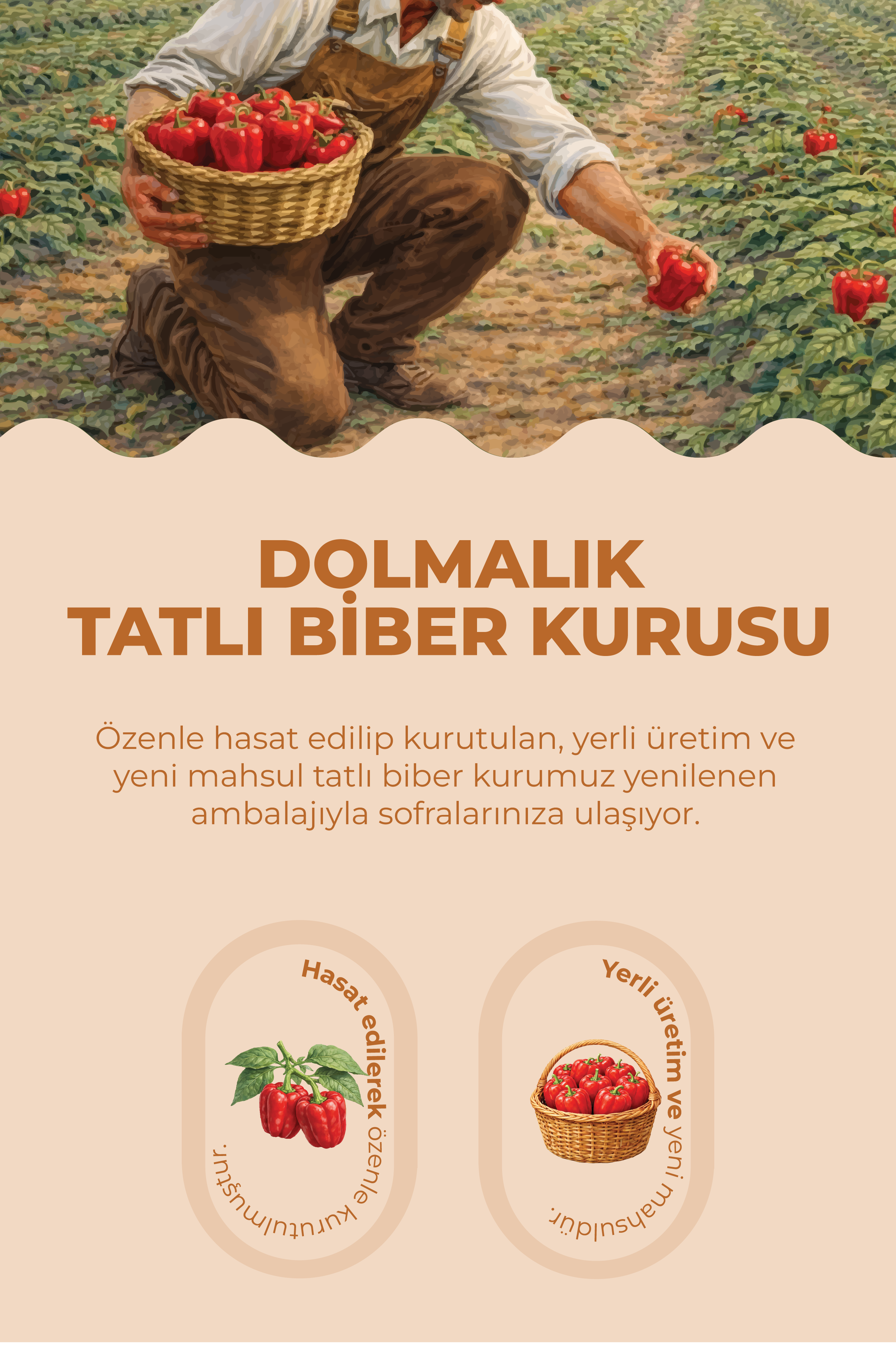 Dolmalık Tatlı Biber Kurusu 1 Bağ (23-25 adet)